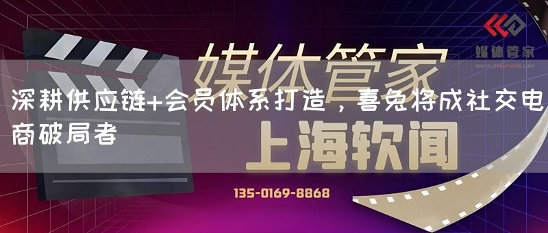 深耕供应链+会员体系打造，喜兔将成社交电商破局者