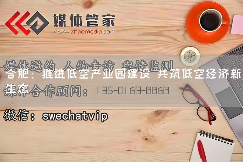 合肥：推进低空产业园建设 共筑低空经济新生态