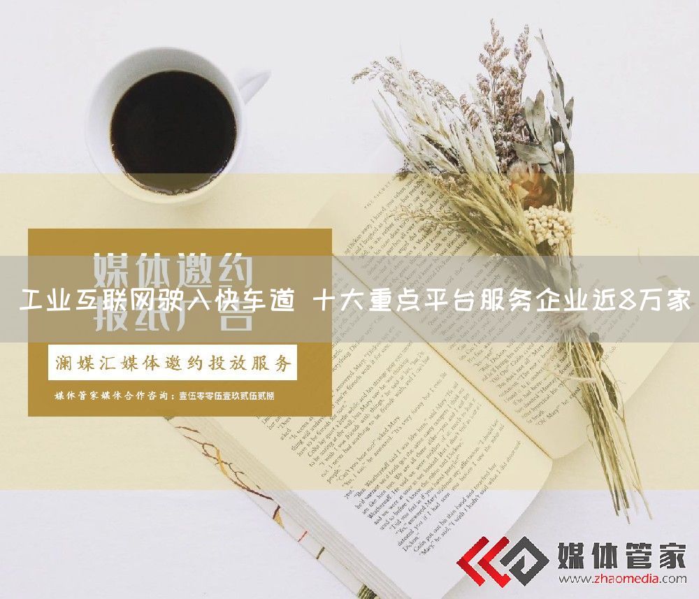 工业互联网驶入快车道 十大重点平台服务企业近8万家