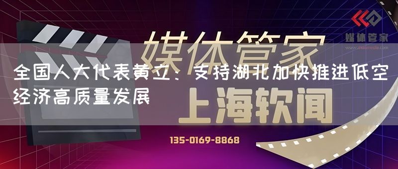 全国人大代表黄立：支持湖北加快推进低空经济高质量发展